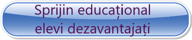 sprijin educational elevi dezavantajati